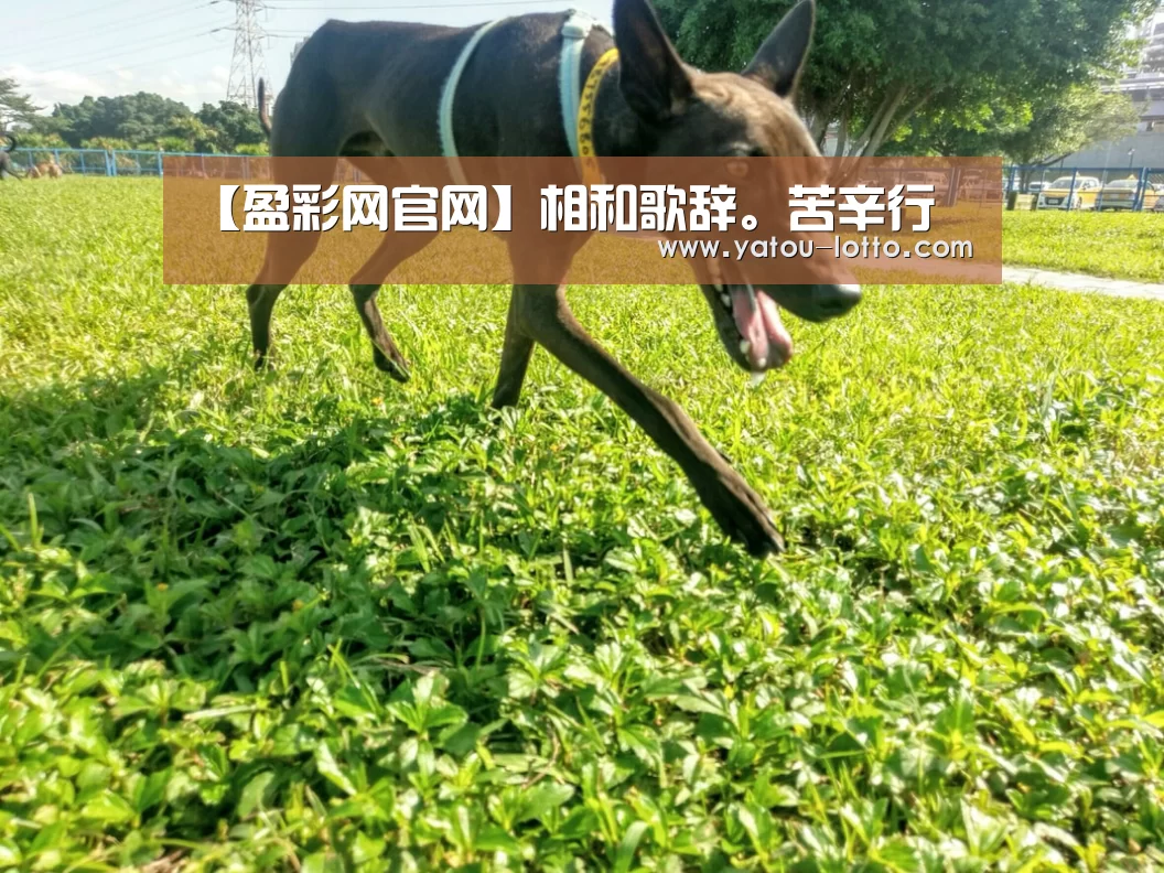 【盈彩网官网】相和歌辞。苦辛行(图2) 盈彩网开奖查询