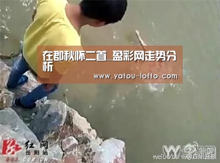 在郡秋怀二首_盈彩网走势分析(图2) 盈彩网走势分析